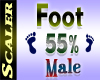 Foot Resizer 55%