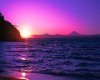 Purple Sunset Backdrop