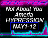 Not About You, Ameria