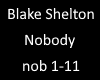 blake shelton nobody