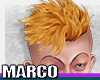 MARCO | Hair