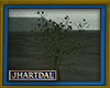 JL Nadirel Tree 0