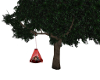 Tree with Kissing Swing