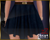 cK Skirt Denim 2