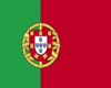 ! ALM PORTUGAL FLAG