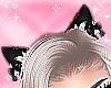 Kitty Ears
