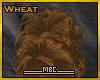 MBC💠Sabina Wheat