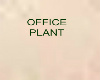 OFFICE PLANT