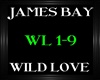 James Bay~Wild Love
