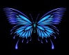 BUTTERFLY ROOM