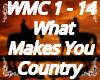 What Makes You Country