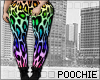 Colorful Cheetah V1