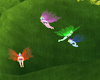 Flying Fairies (KL)