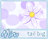 Purple Tail Daisy Big