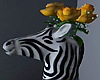 Zebra Rose Plant