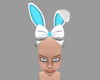 lilly bunny blue