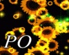 Dj Effect Sunflowers