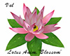 Lotus Animated Blossom