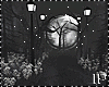 Bundle Dark Night Forest
