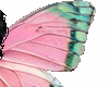 pink wings