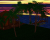 Tropical Romance Sunset
