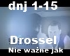 Drossel - Nieważne jak