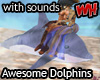 Awesome Dolphins w/sound
