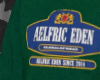 AELFRIC EDEN