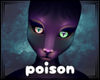 poison ☣ kibear boop