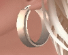 Solid Rose Gold Hoops