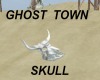 ghost town desert skull