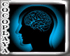 Real humain Heart&Brain