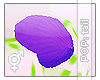 $ Panda Tail Purple [M/F