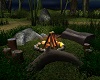 ~CR~Forest Bonfire