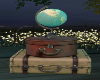travel  suitcase