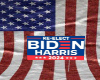 Re-Elect Biden Harris 24