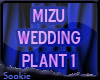 ~SA~ Mizu Wedding Plant1