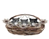 {LS} Kittens in a basket