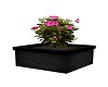 NA-Potted Flowers Blk