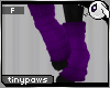 ~Dc) TinyPaws : Purple