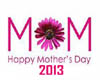 Mother's Day 2013 Cup 