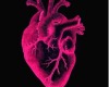 Cutout heart
