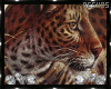 ♥ K-l Leopard Frame