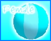 S.S.B. Female Beach Ball