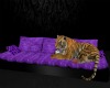 Tiger Purple Sofa