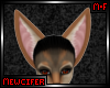 M! Coyote Ears 3