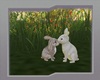 ❈My Bunnies ❈