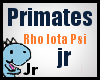 Jr boys primate shirt