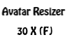 Avatar Resizer 30X (F)