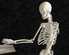 Sitting Stool Skeleton